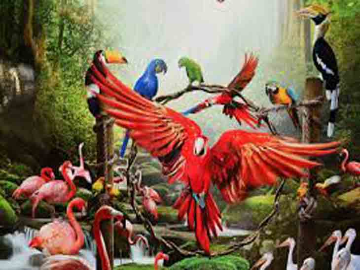 शहर की सुखना लेक के पास बनेगा पहला बर्ड पार्क,प्रशासक के निर्देशों पर तैयार किया जाएगा|चंडीगढ़,Chandigarh - Dainik Bhaskar