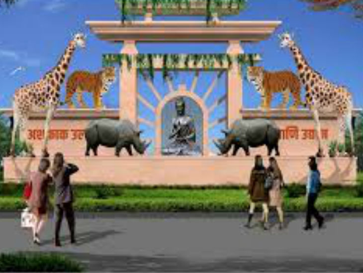 इटावा लायन सफारी से पटौदी और मरियम को कल गोरखपुर भेजा जाएगा; सपाइयों ने