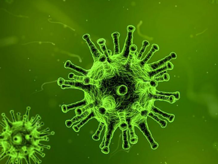 Deadly scrub typhus virus found in young man in Rajasthan लूदी खूबा