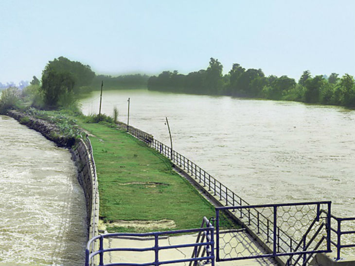 नहर जर्जर बता एक दिन में पंजाब जितना पानी पाक को छोड़ देता है, उसमें हमारे 14 लाख हेक्टेयर में एक फसल पक जाती|जयपुर,Jaipur - Dainik Bhaskar