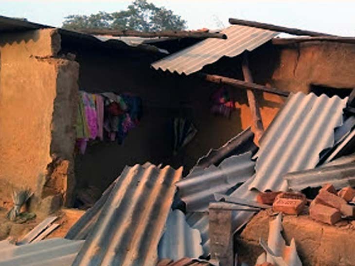 बेड़ो में जंगली हाथी का उत्पात, खेत में लगी फसल को किया बर्बाद; मकान क्षतिग्रस्त|रांची,Ranchi - Dainik Bhaskar