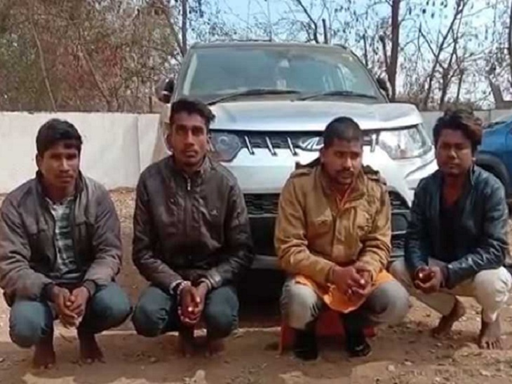 मादक पदार्थों की तस्करी में नवनिर्वाचित जनपद सदस्य सहित चार गिरफ्तार, 47 किलो गांजा बरामद|बिलासपुर,Bilaspur - Dainik Bhaskar