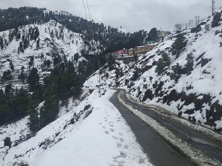 हरिपुरधार सहित जिले के कई इलाकों में बर्फबारी से ढके पहाड़,कई श्रद्धालु पहुंच मंदिर में मनाई महाशिवरात्रि|शिमला,Shimla - Dainik Bhaskar