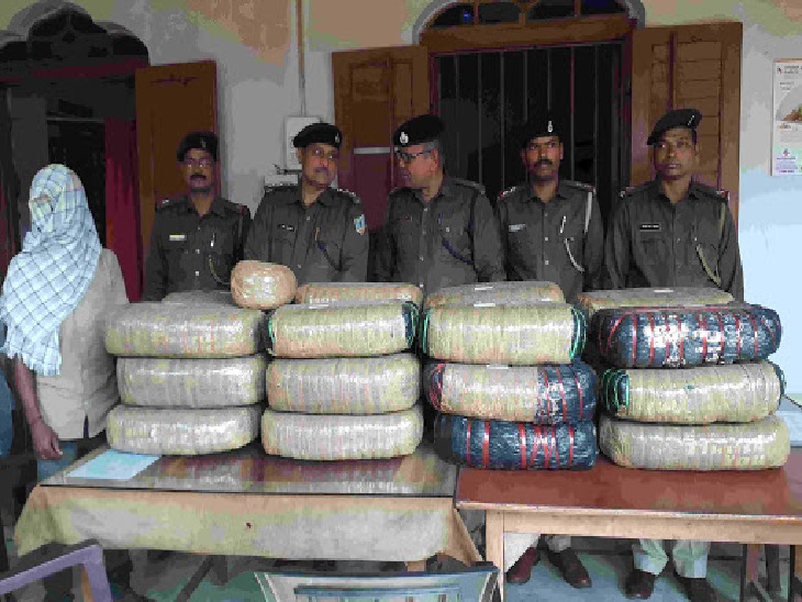 50 लाख रुपए से ज्यादा का गांजा बरामद; ओडिशा से ले जाया जा रहा था बिहार, एक गिरफ्तार|रांची,Ranchi - Dainik Bhaskar