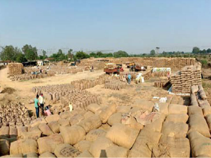 धान खरीदी की अंतर राशि 670 रुपए, पूर्व प्रधानमंत्री राजीव गांधी के नाम पर देगी प्रदेश सरकार|रायपुर,Raipur - Dainik Bhaskar