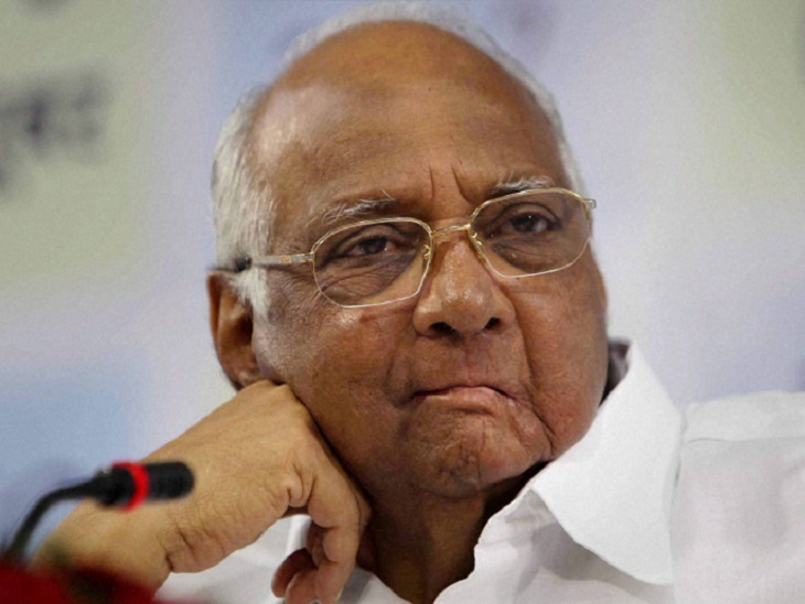 भीमा कोरेगांव हिंसा मामले में एनसीपी प्रमुख शरद पवार से पूछताछ करेगा जांच आयोग|पुणे,Pune - Dainik Bhaskar