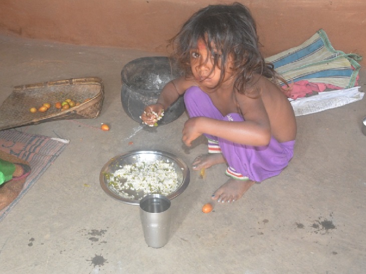 ट्विटर पर बच्ची को गोभी का पत्ता उबालकर खाते देखकर मुख्यमंत्री हेमंत भड़के, कहा- हमारे लिए यह शर्म की बात|रांची,Ranchi - Dainik Bhaskar