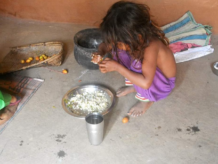 ट्विटर पर बच्ची को गोभी का पत्ता उबालकर खाते देखकर मुख्यमंत्री हेमंत भड़के, कहा- हमारे लिए यह शर्म की बात|रांची,Ranchi - Dainik Bhaskar