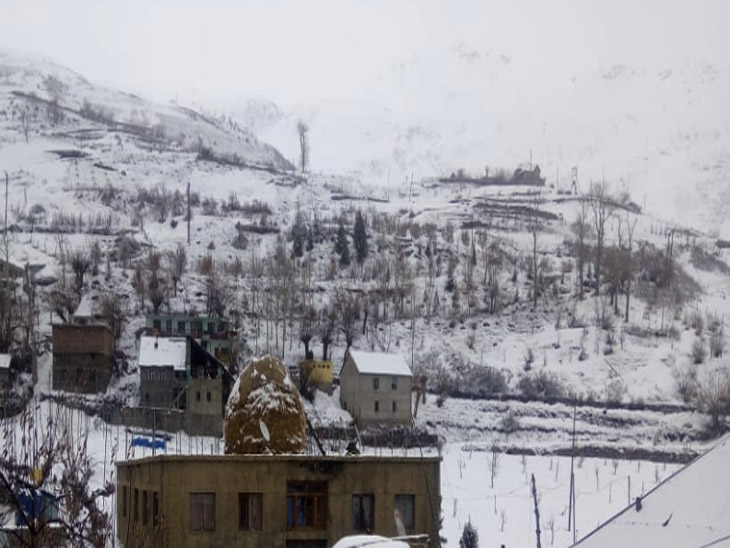 प्रदेश के ऊंचाई वाले इलाकों में आज भी सुबह से हो रही बर्फबारी, निचले इलाकों में बारिश|शिमला,Shimla - Dainik Bhaskar