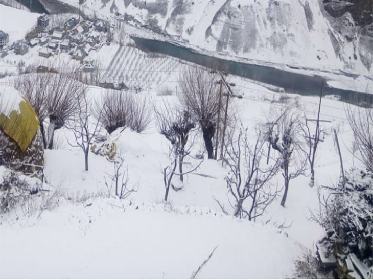 प्रदेश के ऊंचाई वाले इलाकों में आज भी सुबह से हो रही बर्फबारी, निचले इलाकों में बारिश|शिमला,Shimla - Dainik Bhaskar