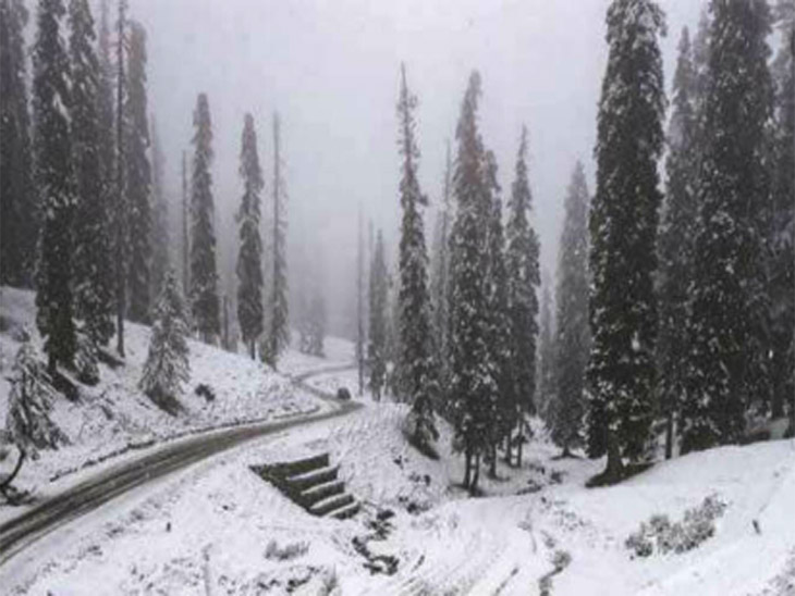 प्रदेश के ऊंचाई वाले इलाकों में आज भी सुबह से हो रही बर्फबारी, निचले इलाकों में बारिश|शिमला,Shimla - Dainik Bhaskar