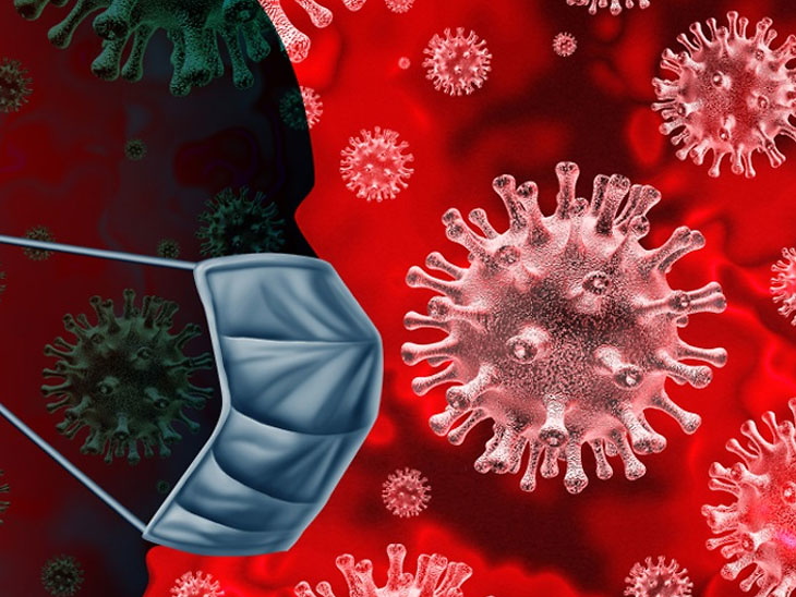 दिल्ली-राजस्थान होकर आए दो डॉक्टर समेत तीन की कोरोना रिपोर्ट निगेटिव|गुजरात,Gujarat - Dainik Bhaskar