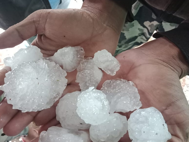 भिंड-मुरैना के 250 गांवों में ओले गिरे, 1 लाख हेक्टेयर की फसलें बर्बाद; कमलनाथ ने कहा- किसान घबराएं नहीं, नुकसान की भरपाई करेंगे|भोपाल,Bhopal - Dainik Bhaskar
