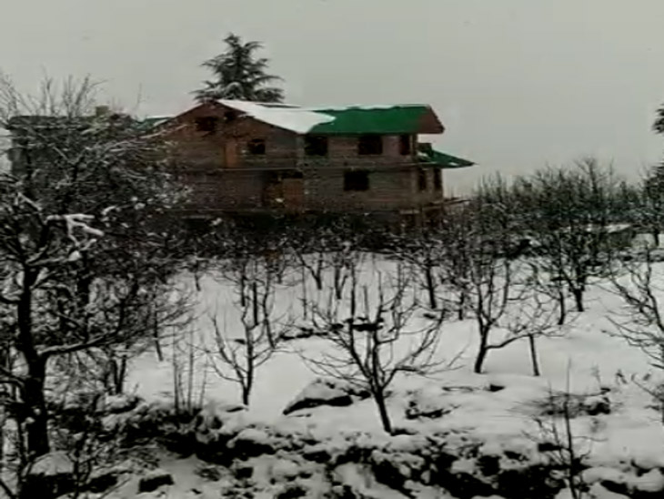 सोलननाला-कुफरी और ऊंचाई वाले इलाकों में बर्फबारी का दौर जारी, सैलानियाें की गाड़ियां जाम में फंसी|शिमला,Shimla - Dainik Bhaskar