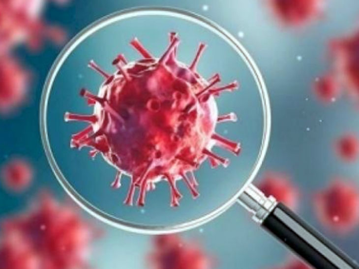 प्रतीकात्मक फोटो - Dainik Bhaskar