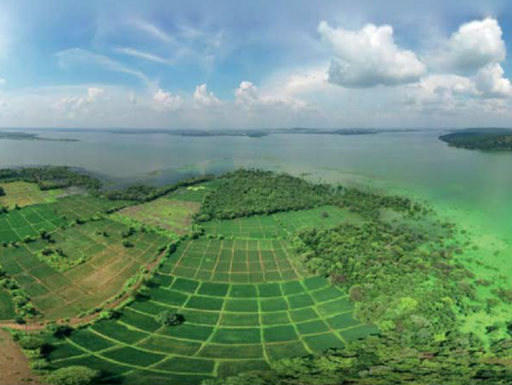 तालाब की हदबंदी के लिए चारों ओर सड़क का प्रस्ताव। - Dainik Bhaskar