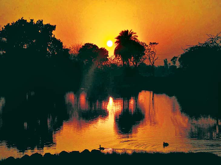 फोटो प्रतीकात्मक है। - Dainik Bhaskar