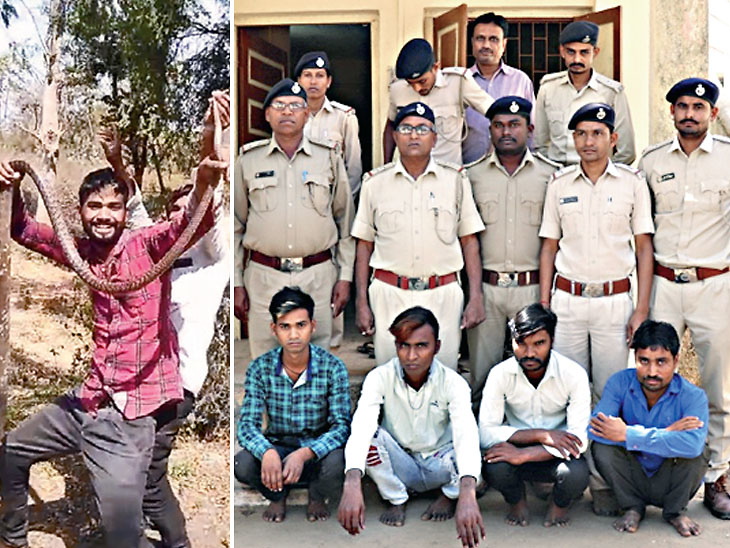 चार लोगों की धरपकड़ - Dainik Bhaskar