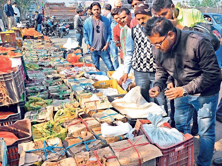 जब्त पनीर की जांच करते फूड इंस्पेक्टर। - Dainik Bhaskar