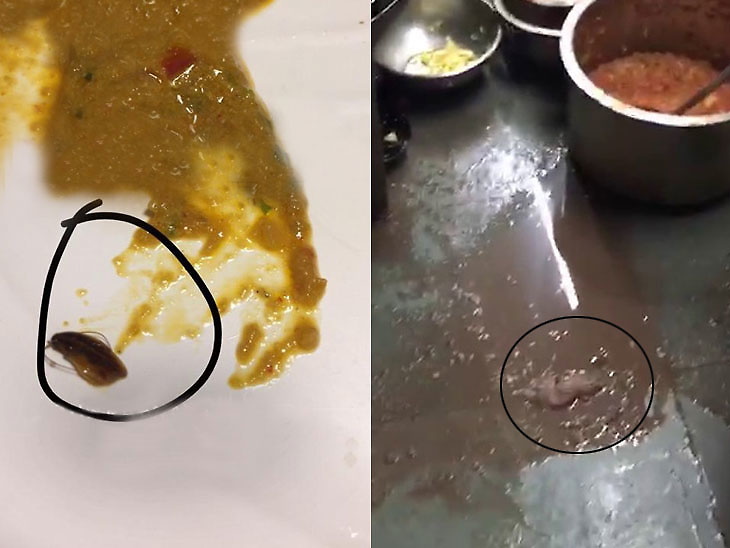 रेस्तरां में परोसे गए भोजन में कीड़ा - Dainik Bhaskar