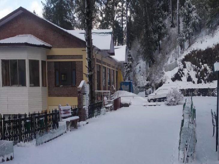 नरकंडा: बर्फबारी ने सबकुछ ढक दिया। - Dainik Bhaskar