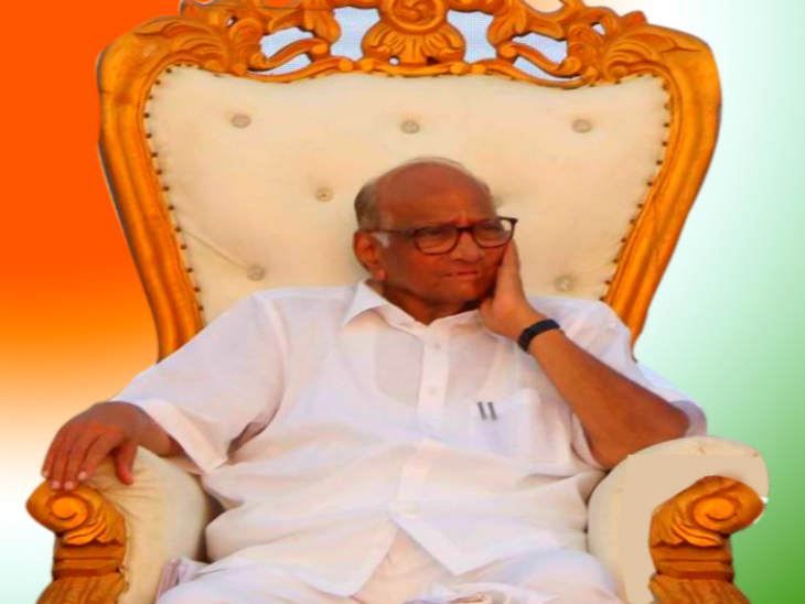 राष्ट्रवादी कांग्रेस पार्टी के प्रमुख हैं शरद पवार-फाइल फोटो - Dainik Bhaskar