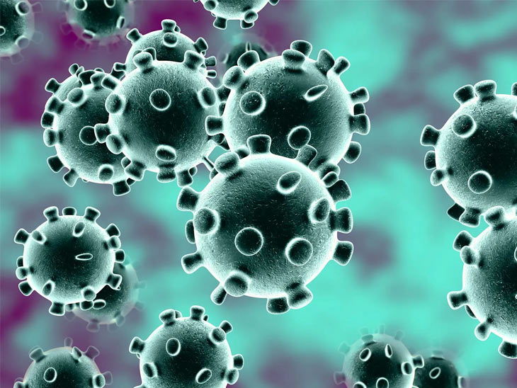 ऑस्ट्रेलिया से लौटी महिला को कोरोना संक्रमण की आशंका से अस्पताल में भर्ती किया, सैंपल लेने से पहले ही भागी|हिसार,Hisar - Dainik Bhaskar