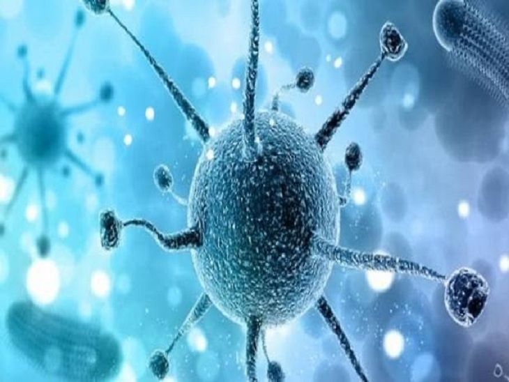 वायरस संक्रमण की सिंबॉलिक इमेज। - Dainik Bhaskar