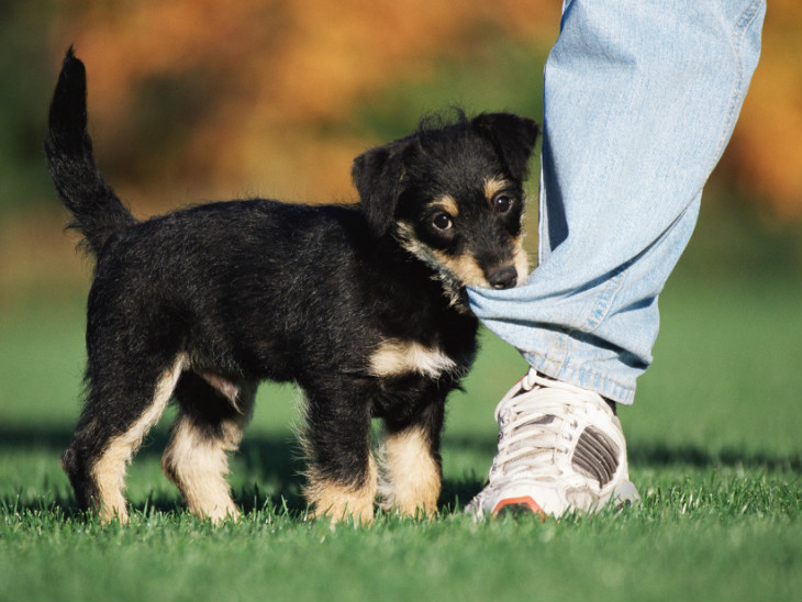 प्रतीकात्मक फोटो। - Dainik Bhaskar