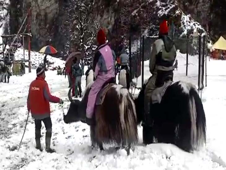 सोलंगनाला में बर्फबारी का आनंद लेते सैलानी। - Dainik Bhaskar