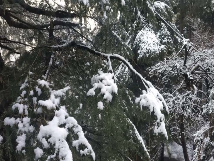 प्रदेश के ऊंचाई वाले इलाकों में लगातार तीन दिन से हो रही है बर्फबारी, जनजीवन अस्त व्यस्त, कई मार्ग भी हुए बंद|शिमला,Shimla - Dainik Bhaskar