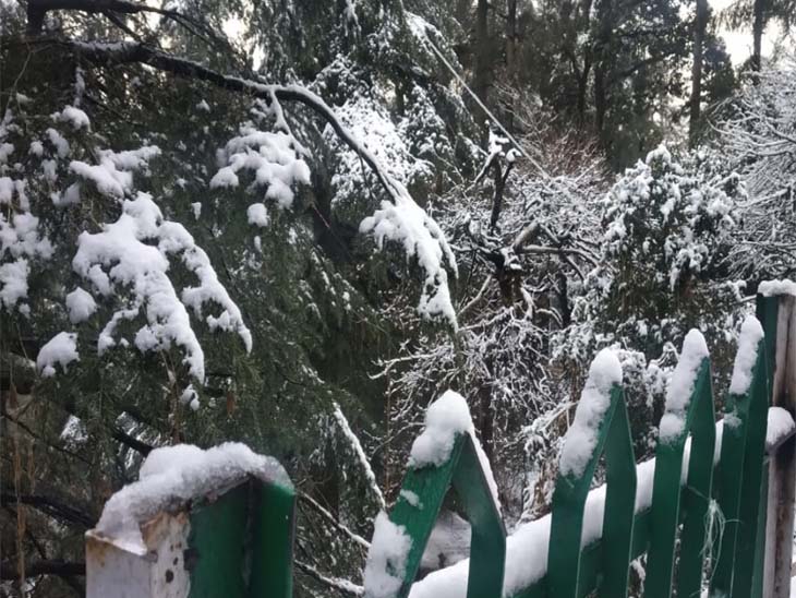 प्रदेश के ऊंचाई वाले इलाकों में लगातार तीन दिन से हो रही है बर्फबारी, जनजीवन अस्त व्यस्त, कई मार्ग भी हुए बंद|शिमला,Shimla - Dainik Bhaskar