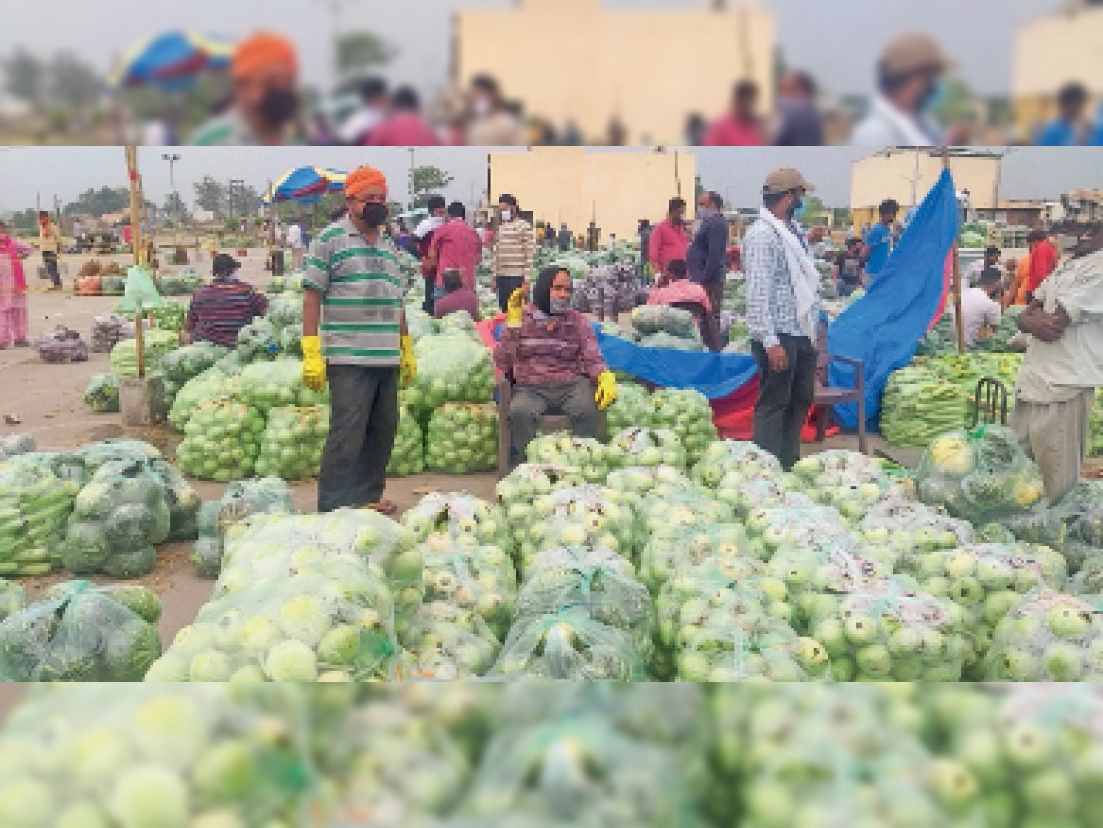 Only vegetable business went into lockdown, people of Jalandhar ate 58