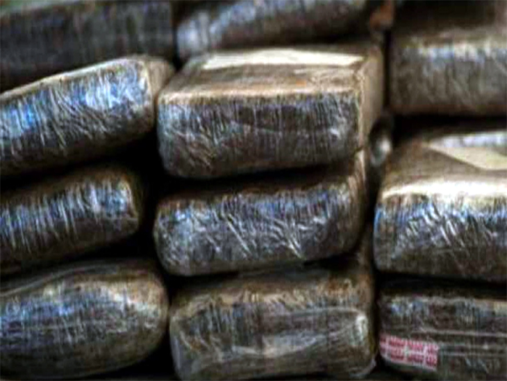 Kullu police arrested a smuggler with 42 kg charas | कुल्लू पुलिस ने 42 किलो चरस के साथ एक तस्कर को किया गिरफ्तार - Dainik Bhaskar