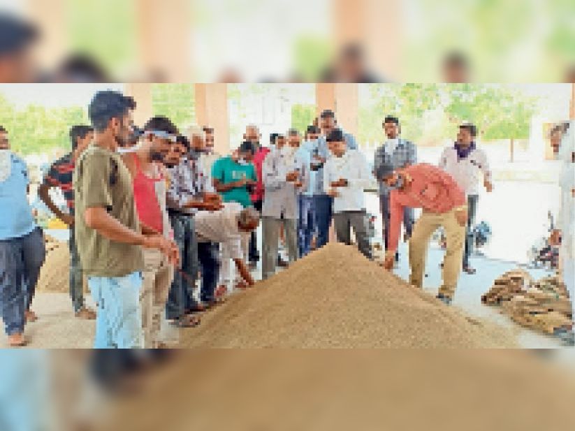 Commodities started in agricultural produce market, cumin sold in