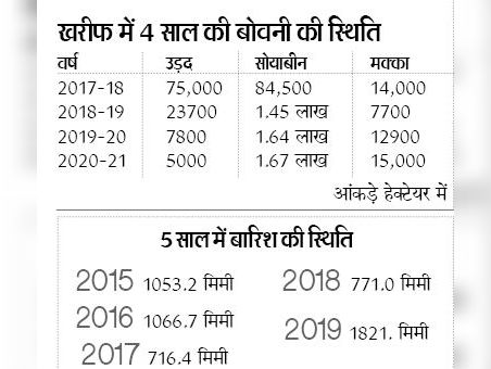 Hoshangabad News In Hindi : Four years ago, urad used to be sown in 75 thousand hectares in the district, which is now 5 thousand hectares. Soybean rises to 1.67 lakh hectare | चार साल पहले तक जिले में 75 हजार हेक्टेयर में बोते थे उड़द, जो अब 5 हजार हेक्टे. में सिमटी, सोयाबीन बढ़कर 1.67 लाख हेक्टेयर पहुंचा