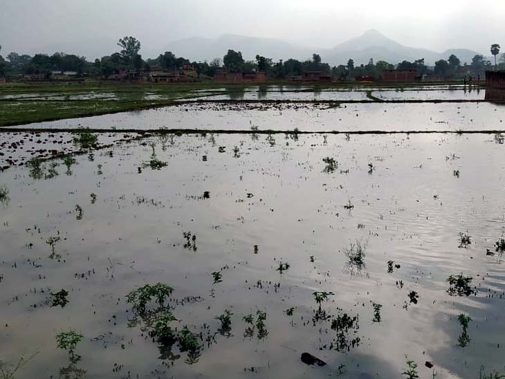 Ranchi Jamshedpur (Jharkhand) Rain News Update Jharkhand Rain News