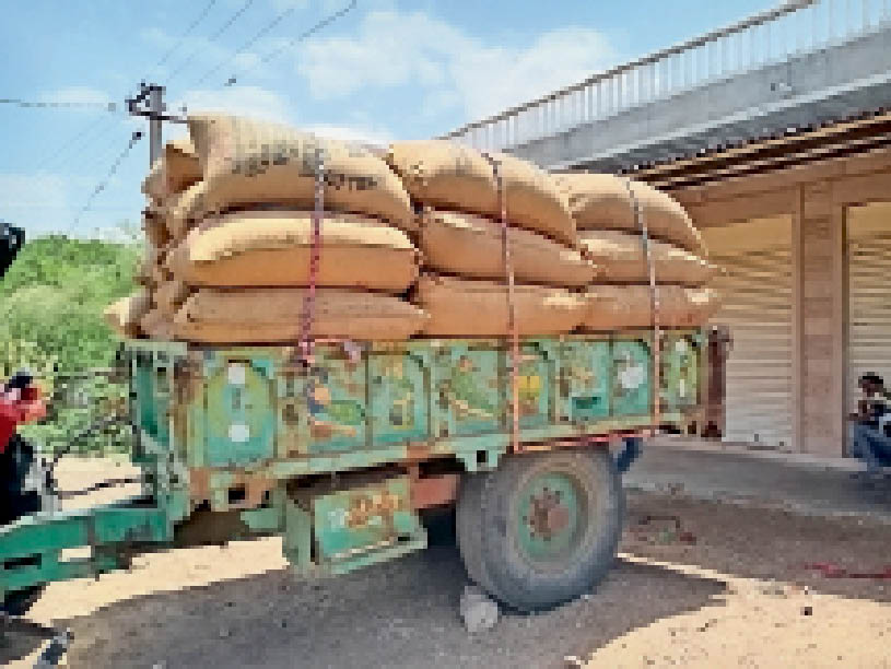 मंडी से पहले बिचौलियों के हाथ में पहुंच रहा अनाज, लाखों क्विंटल बेचा