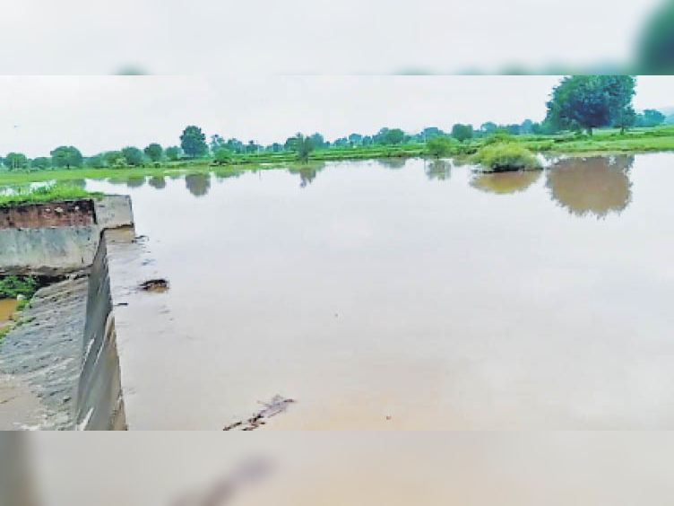 जयसमंद में 69 मिमी बारिश, जयसागर में आया पानी