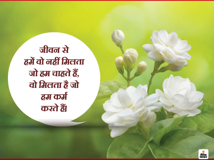 motivational quotes 10 thoughts about life, if you do what you do, then you will also get what you have got | जिंदगी के बारे में 10 थॉट्स, अगर आप वही करते हैं जो करते आएं हैं, तो आपको मिलेगा भी वही जो मिलता आया है 5