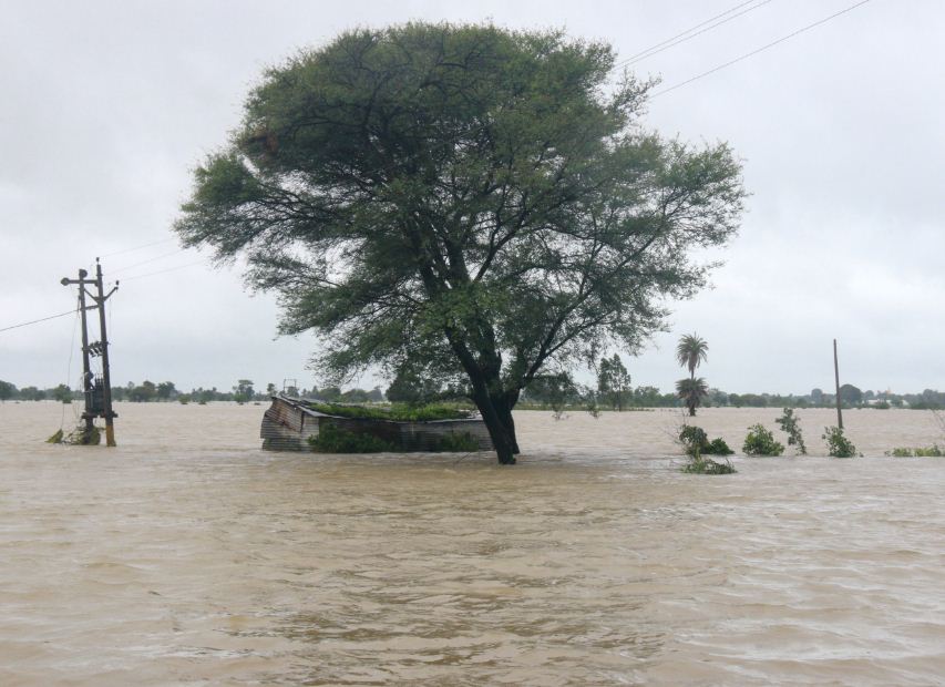 कलियासोत डेम के गेट खोले जाने के बाद दामखेड़ा गांव के खेतों में भरा पानी।