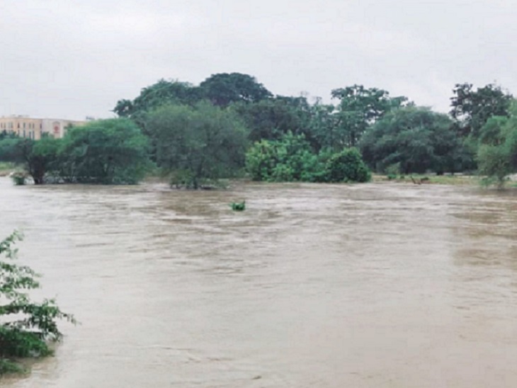 ये तस्वीर रायपुर में अंबुजा मॉल के सामने से निकलने वाले छोकरा नाले की है। बारिश में 15 फ़ीट ऊपर बह रहा है। सड़क पर इतना पानी है कि नाला कहां बह रहा पता ही नहीं चल रहा है।