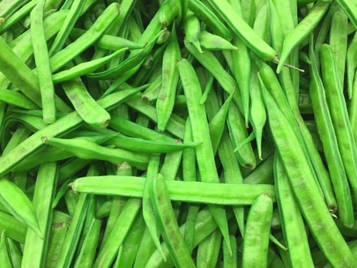 ग्वार की फली के दाम पिछले 15 दिनों में ही डबल हो गए।