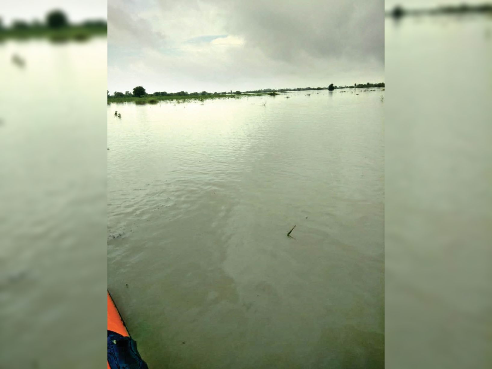 ये तालाब नहीं खेत है...