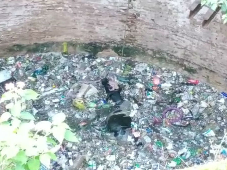 इससे पहले रस्सी में फंसाकर उसे पानी से ऊपर रखा गया।