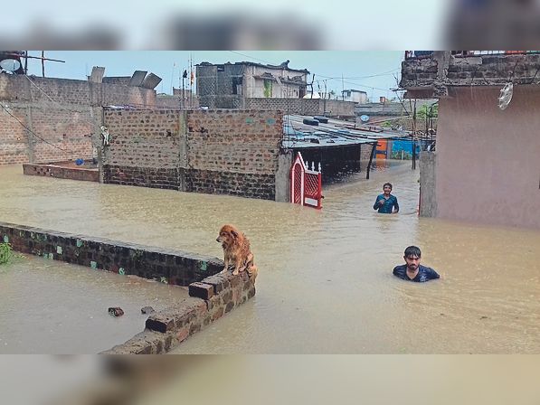महिमा नगर, एसपीएम-1 काॅलाेनी, संजय नगर, आदमगढ, बंगाली कॉलोनी में घुसा पानी