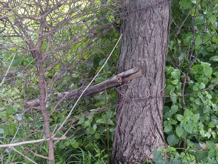 परिजनों के अनुसार यहां फेंसिंग पर शव लटका मिला था।