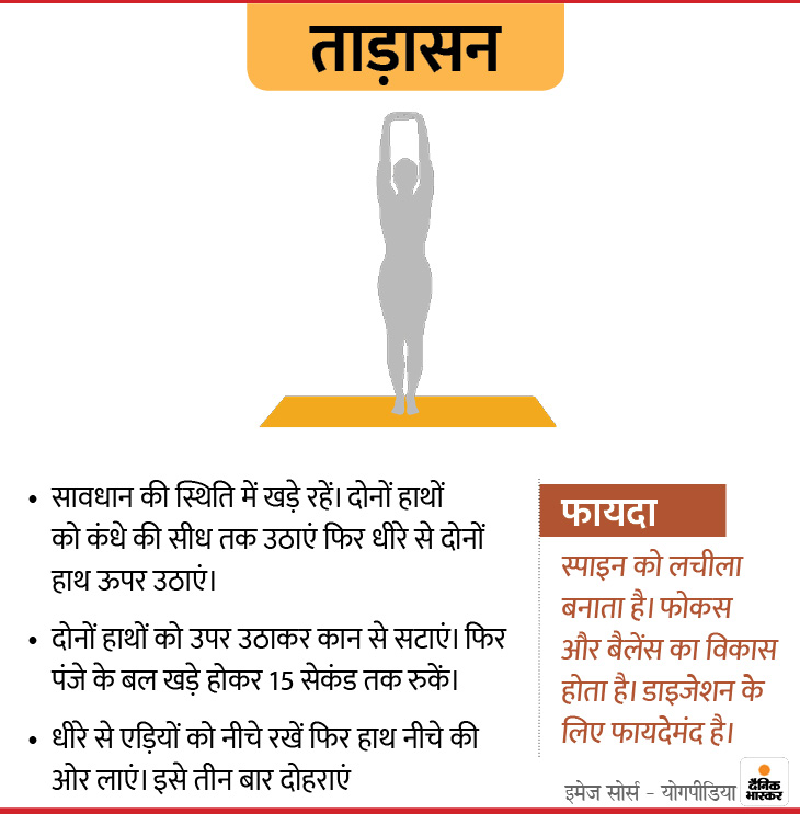 With the help of these 9 Yogasanas at home, you can get rid of bad digestion and stress, Vrikshasana is very beneficial for children. | घर में रहकर इन 9 योगासनों की मदद से खराब डाइजेशन और स्ट्रेस से पा सकते हैं निजात, बच्चों के लिए काफी फायदेमंद है वृक्षासन