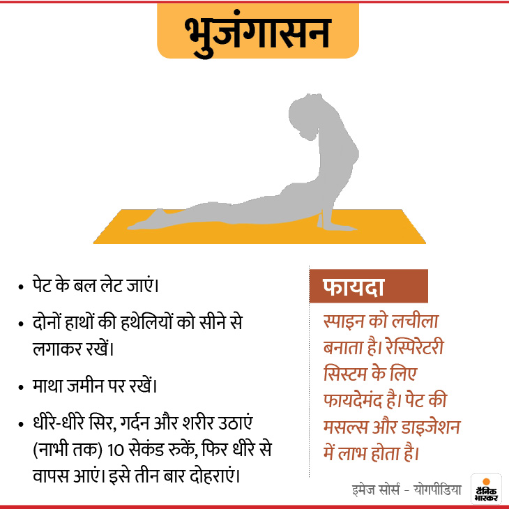 With the help of these 9 Yogasanas at home, you can get rid of bad digestion and stress, Vrikshasana is very beneficial for children. | घर में रहकर इन 9 योगासनों की मदद से खराब डाइजेशन और स्ट्रेस से पा सकते हैं निजात, बच्चों के लिए काफी फायदेमंद है वृक्षासन