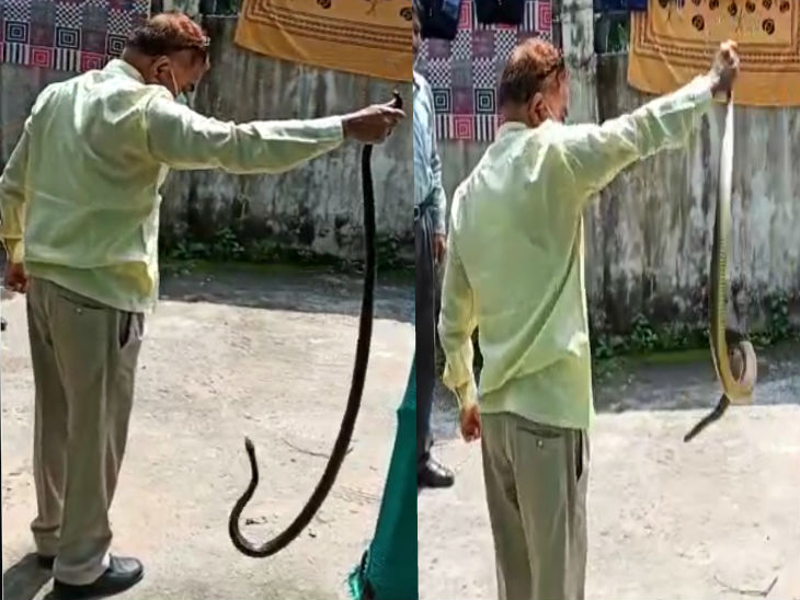 पांच नंबर के पास घर से पकड़े गए इस सांप की लंबाई करीब 6 फीट रही।